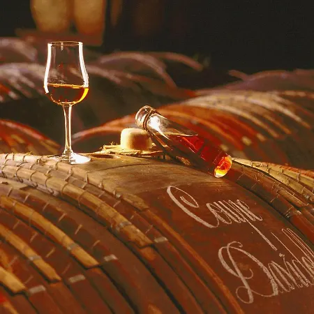 Villa In France With Private Pool *