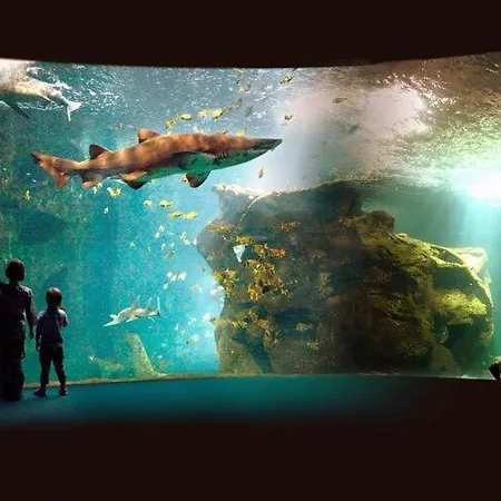 Villa In France With Private Pool