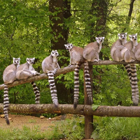 Villa In France With Private Pool *