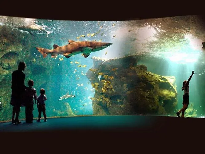 Villa In France With Private Pool