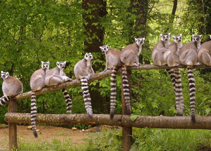 Villa In France With Private Pool *